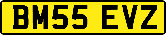 BM55EVZ
