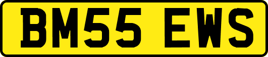 BM55EWS