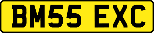 BM55EXC