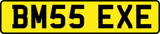 BM55EXE