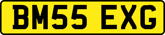 BM55EXG