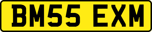 BM55EXM