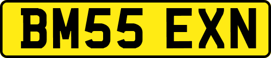 BM55EXN