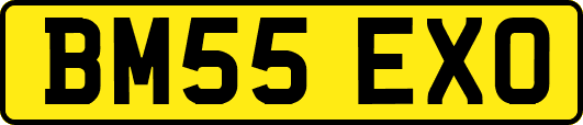 BM55EXO