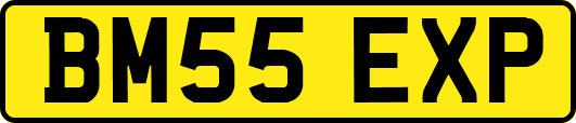 BM55EXP
