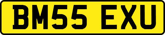 BM55EXU