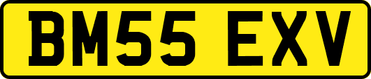 BM55EXV