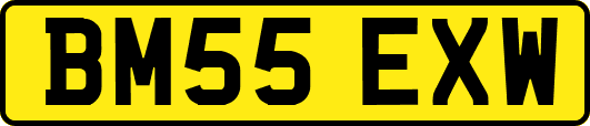 BM55EXW