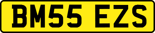BM55EZS