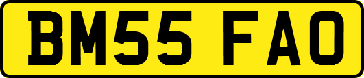 BM55FAO