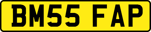 BM55FAP
