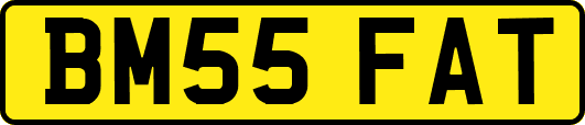 BM55FAT