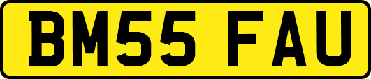 BM55FAU
