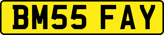 BM55FAY