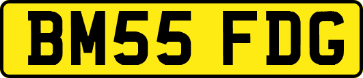 BM55FDG