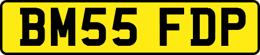 BM55FDP