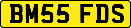 BM55FDS