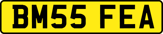 BM55FEA