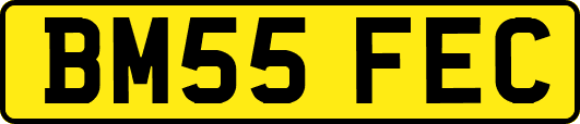 BM55FEC