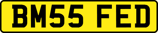 BM55FED