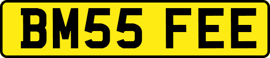BM55FEE