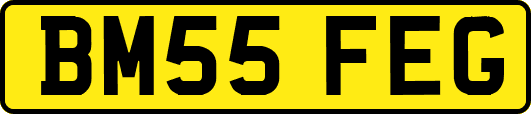BM55FEG