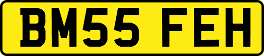 BM55FEH