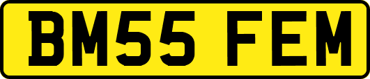 BM55FEM