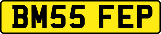 BM55FEP