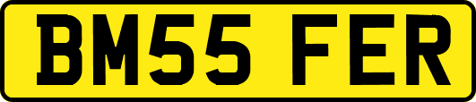 BM55FER