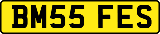 BM55FES