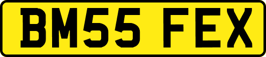 BM55FEX