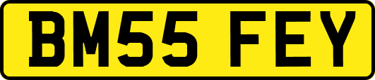BM55FEY