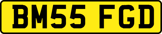 BM55FGD
