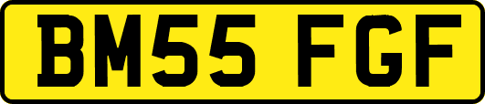 BM55FGF