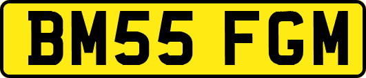 BM55FGM
