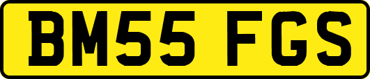 BM55FGS