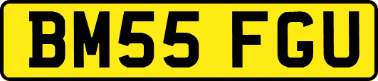 BM55FGU