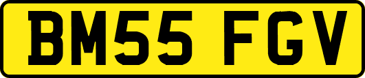 BM55FGV