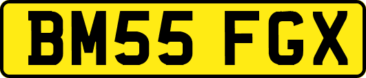 BM55FGX