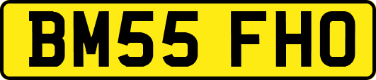 BM55FHO