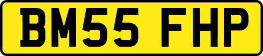BM55FHP