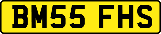 BM55FHS