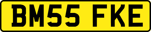 BM55FKE