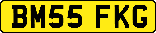BM55FKG