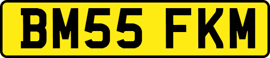 BM55FKM