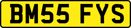 BM55FYS