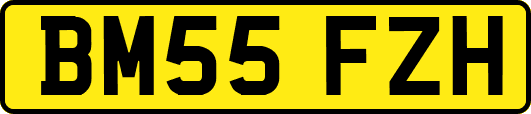BM55FZH