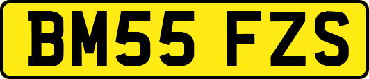 BM55FZS