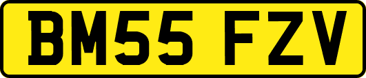 BM55FZV